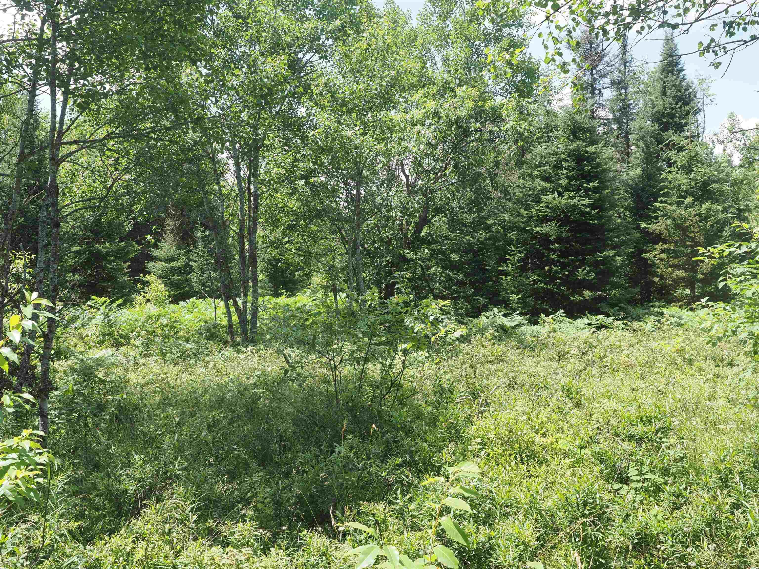 0 County Road Ishpeming, MI 49849 - Photo 28 of 85