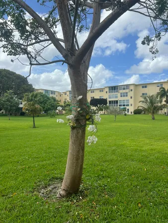 $1,500 | 2615 Northeast 3rd Street, Unit 213, Boynton Beach, FL 33435