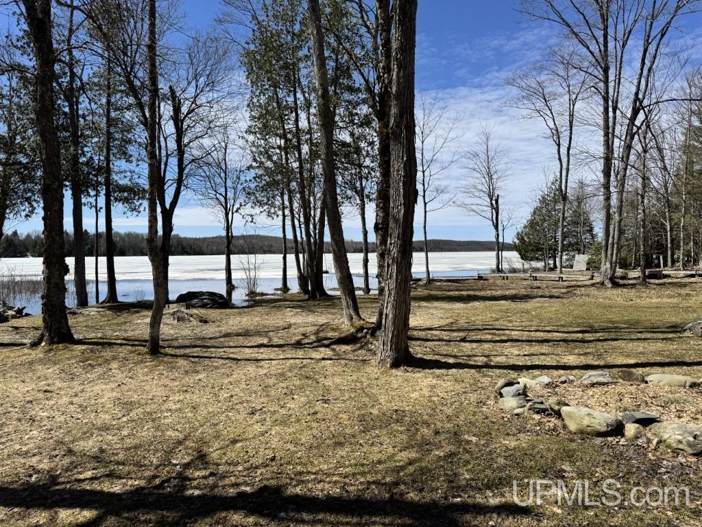 14236 Basalt Street Covington, MI 49919 - Photo 49 of 70