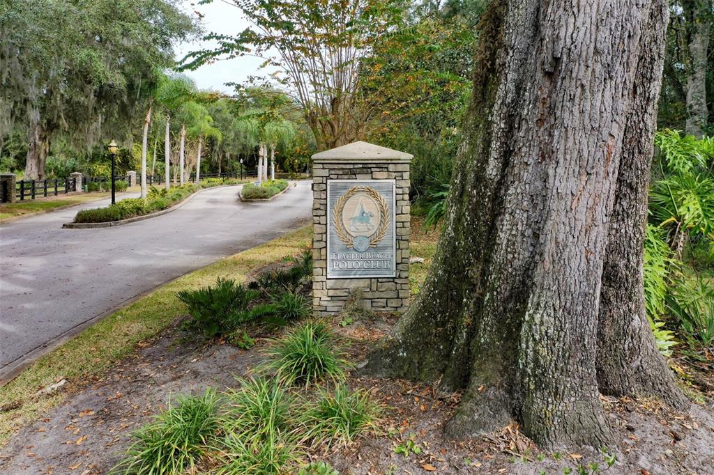 105 Bridle Ridge Court Flagler Beach, FL 32136 - Photo 2 of 8 a view of a park with large trees