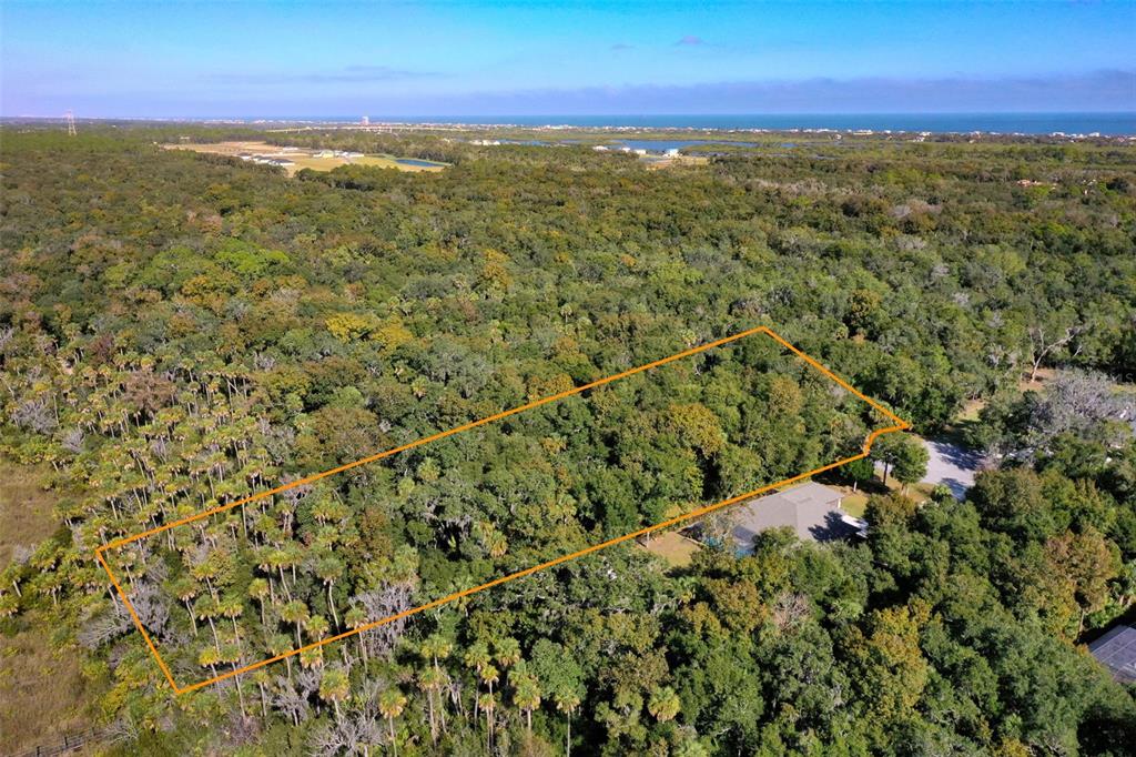 105 Bridle Ridge Court Flagler Beach, FL 32136 - Photo 6 of 8 a view of a city