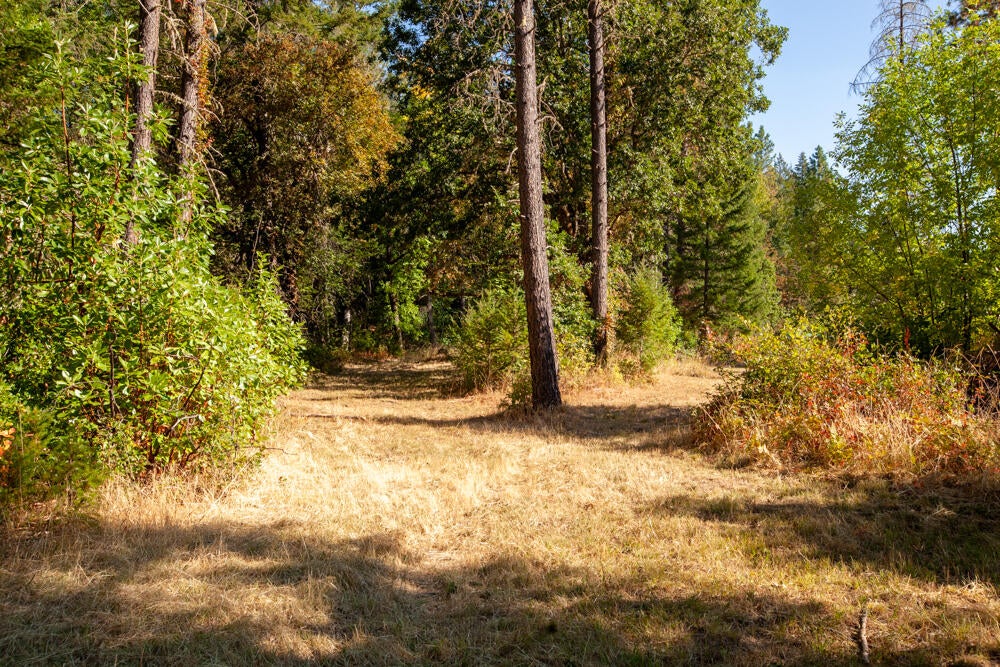 1400 Reeves Creek Road Selma, OR 97538 - Photo 7 of 19 1400 Reeves Creek (7 of 19)