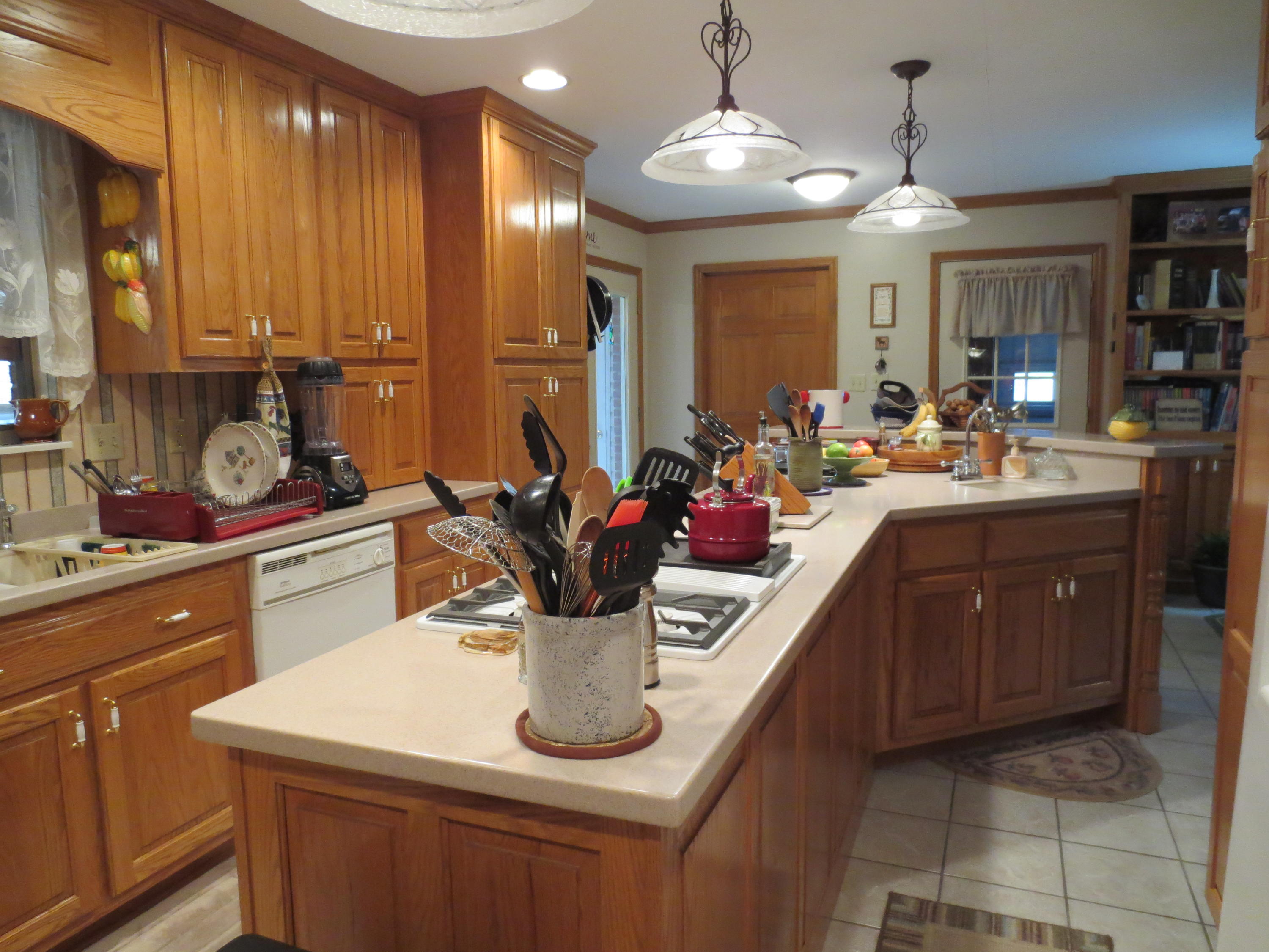 140 County Road 137 Riceville, TN 37370 - Photo 14 of 31 IMG_0807 - Copy