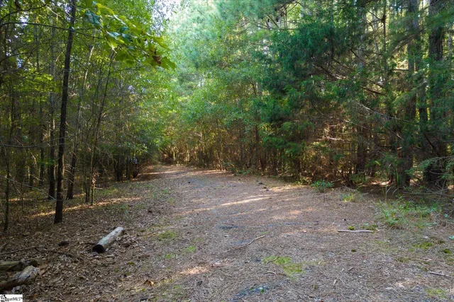 $1,643,000 | 737 State Rd S-30-309, Laurens, SC 29360