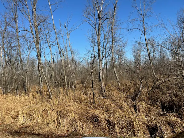 $90,000 | V/l Chamberlain Road, Marcellus, MI 49067