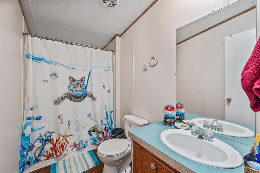 192 Big Salty Lane Springtown, TX 76082 - Photo 18 of 36 a bathroom with a sink mirror vanity and toilet