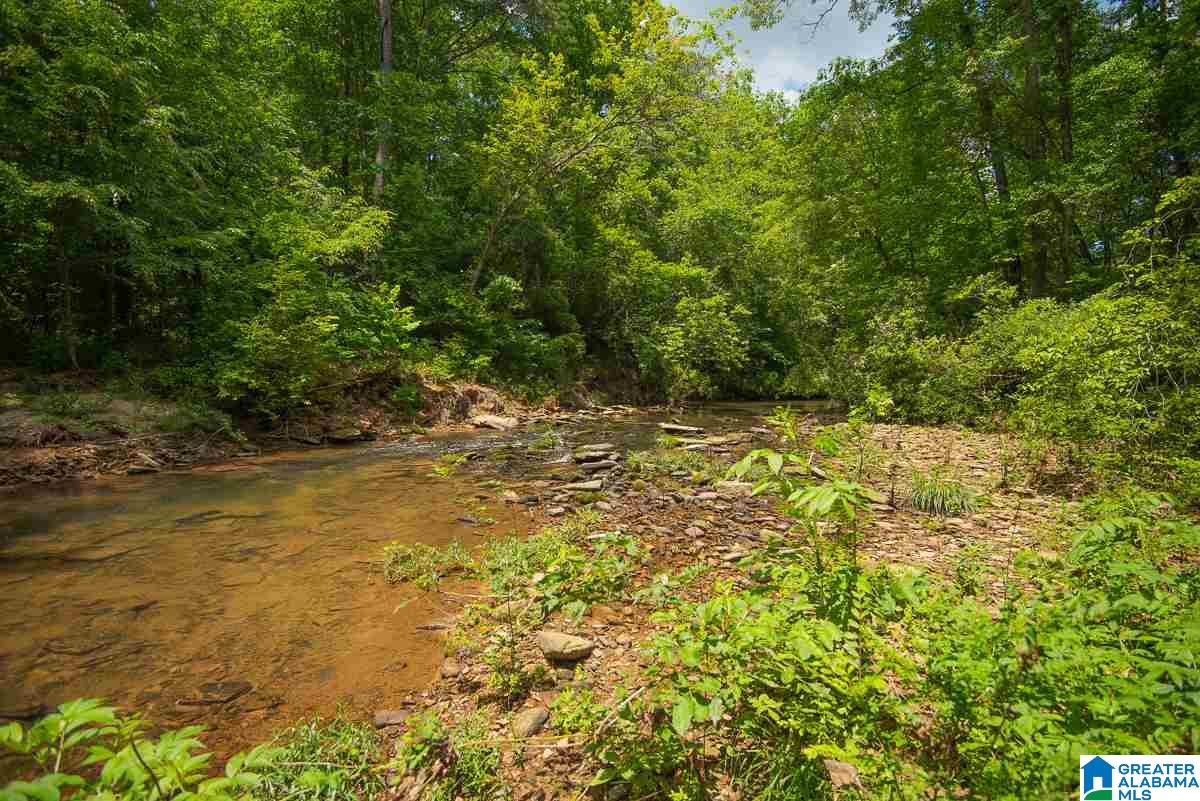 0 County Road 40, Unit 1 Arley, AL 35541 - Photo 3 of 11