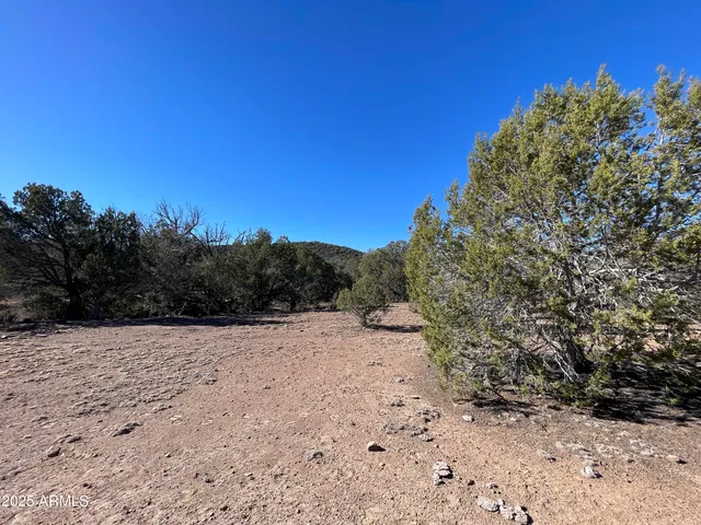 $45,000 | Xxxx Xxxx Cattle Drive, Unit 160, Ash Fork, AZ 86320