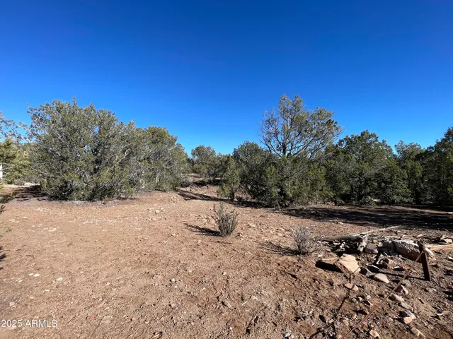 $45,000 | Xxxx Xxxx Cattle Drive, Unit 160, Ash Fork, AZ 86320