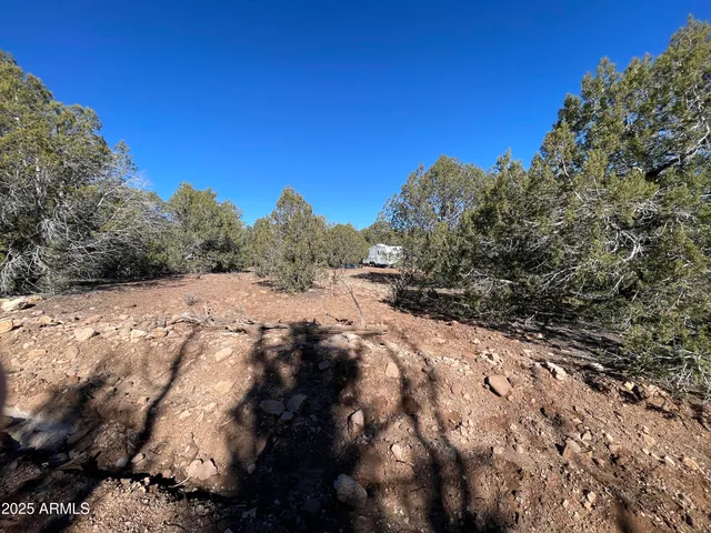 $45,000 | Xxxx Xxxx Cattle Drive, Unit 160, Ash Fork, AZ 86320