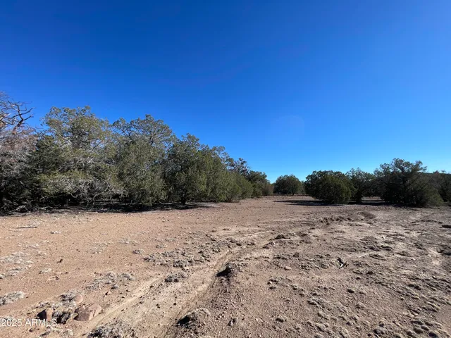 $45,000 | Xxxx Xxxx Cattle Drive, Unit 160, Ash Fork, AZ 86320