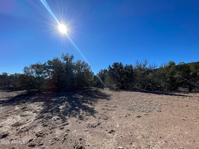 $45,000 | Xxxx Xxxx Cattle Drive, Unit 160, Ash Fork, AZ 86320