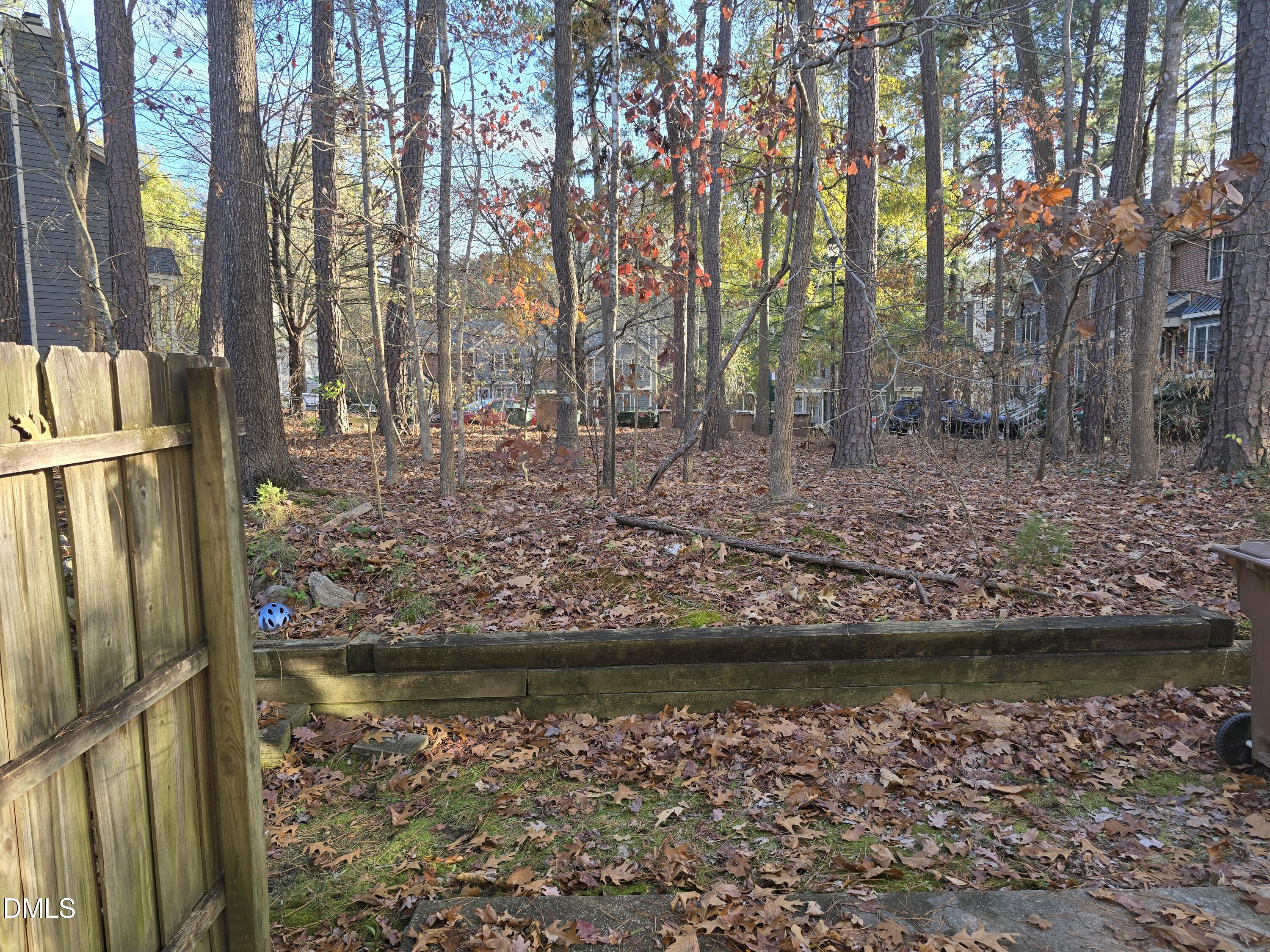 217 Climbing Ivy Court Cary, NC 27511 - Photo 26 of 26 back yard