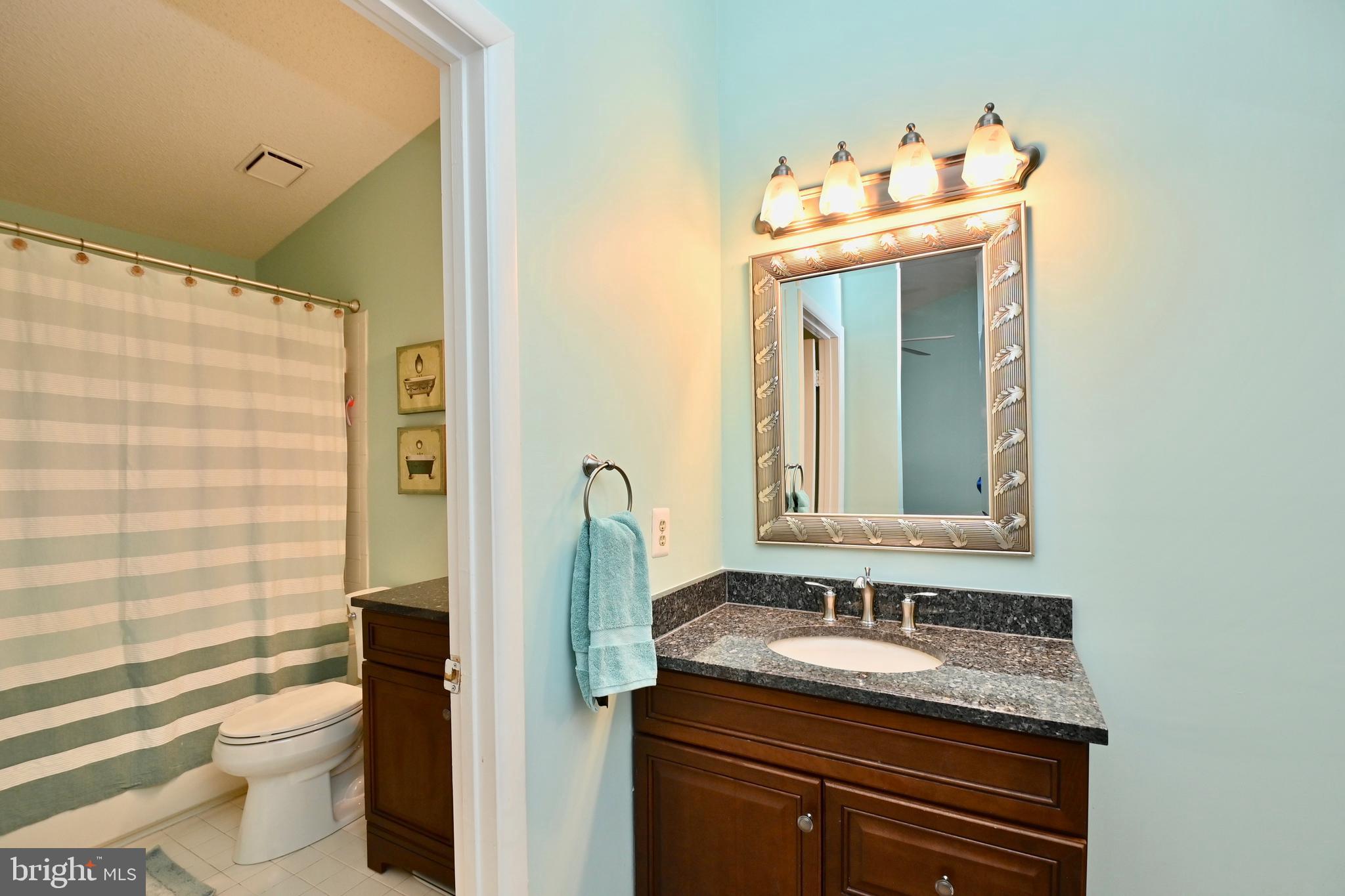 1449 Newport Spring Court Reston, VA 20194 - Photo 29 of 48 Primary Bath