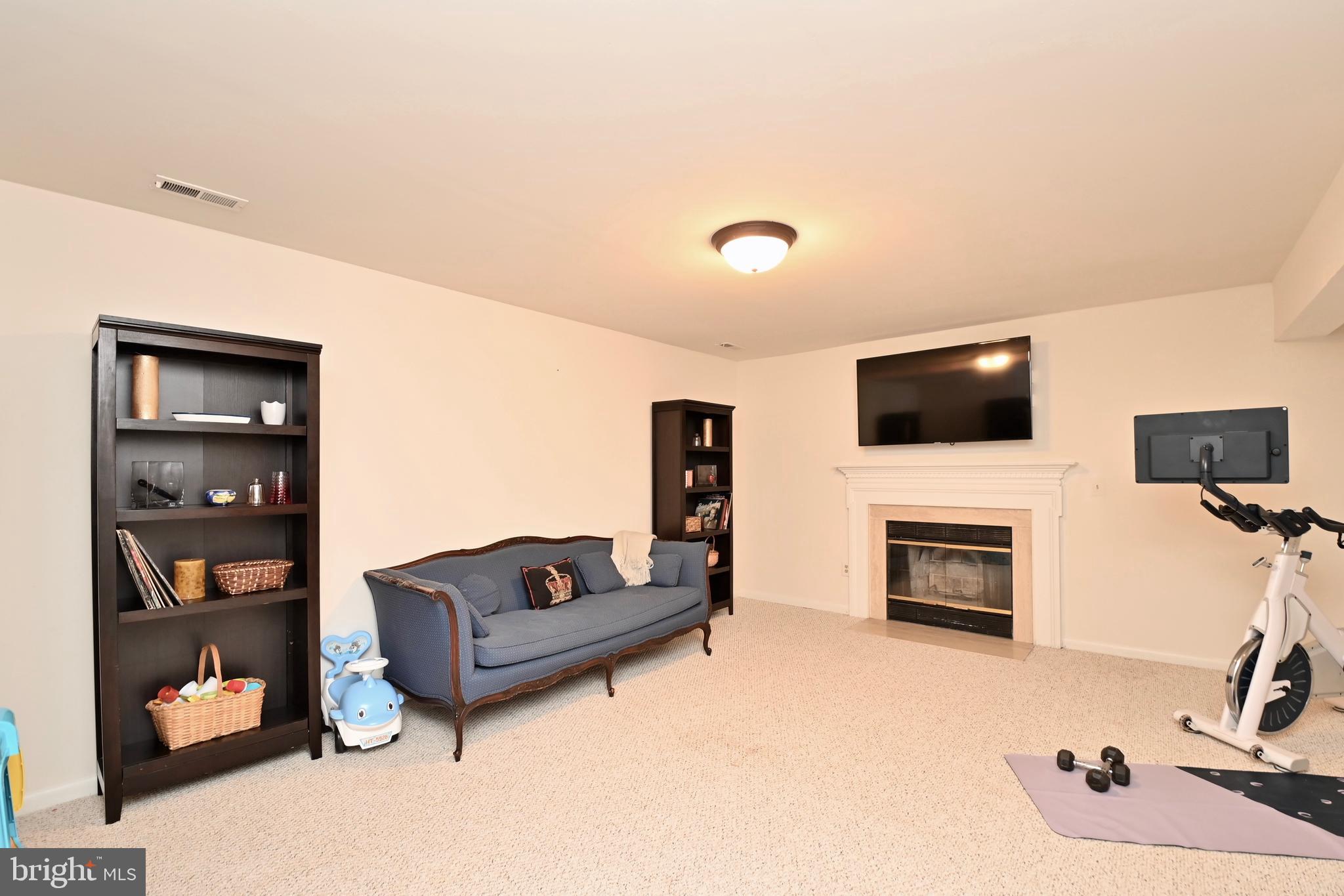 1449 Newport Spring Court Reston, VA 20194 - Photo 34 of 48 Fire Place