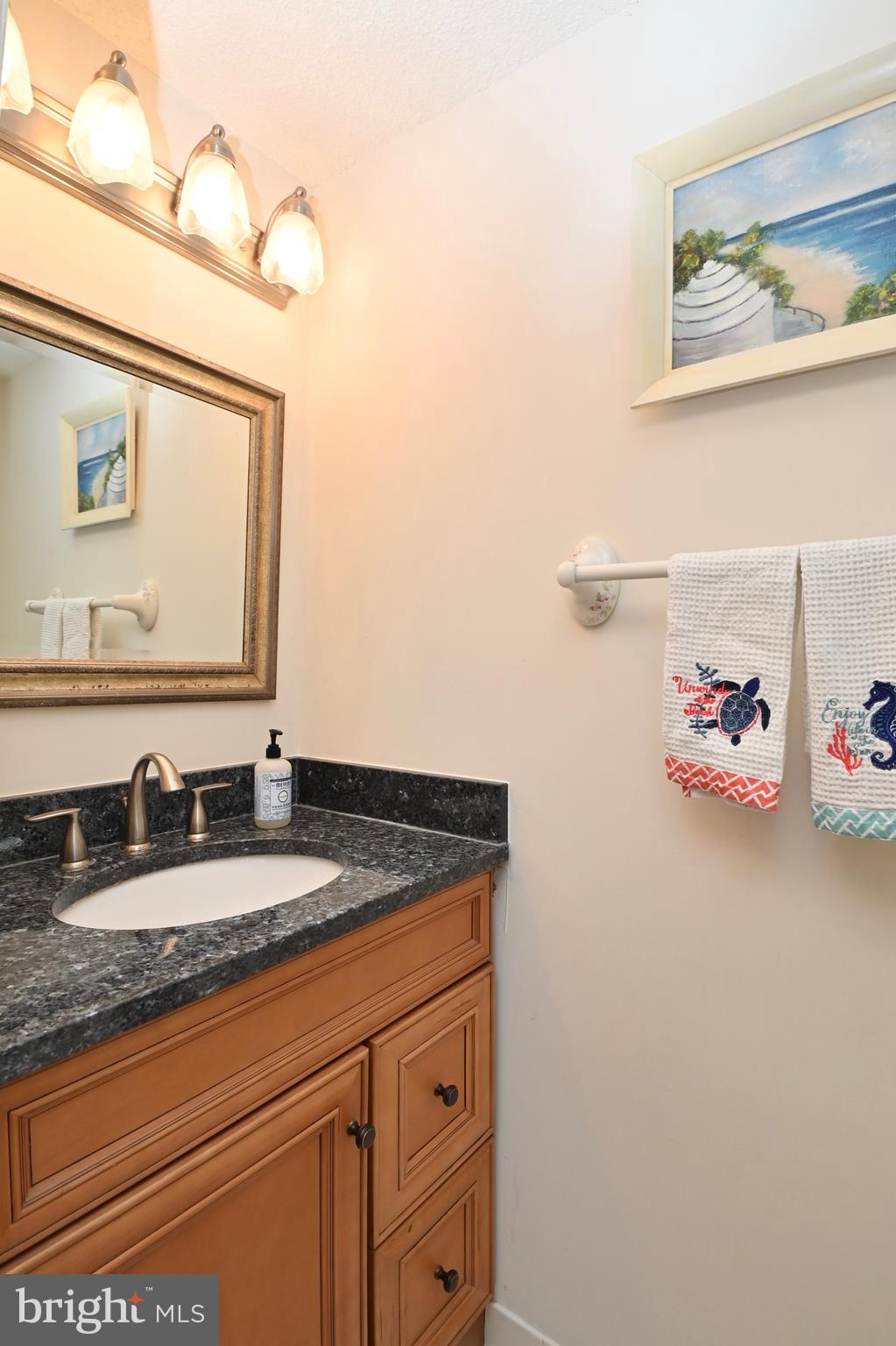 1449 Newport Spring Court Reston, VA 20194 - Photo 9 of 48 Guest- Bath