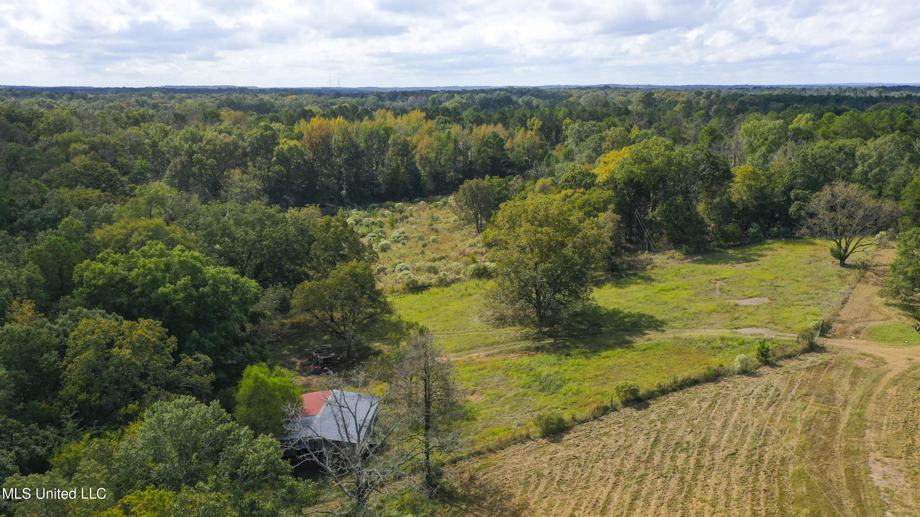 884 B Robinson Springs Road Flora, MS 39071 - Photo 14 of 22 Robinson Springs-12