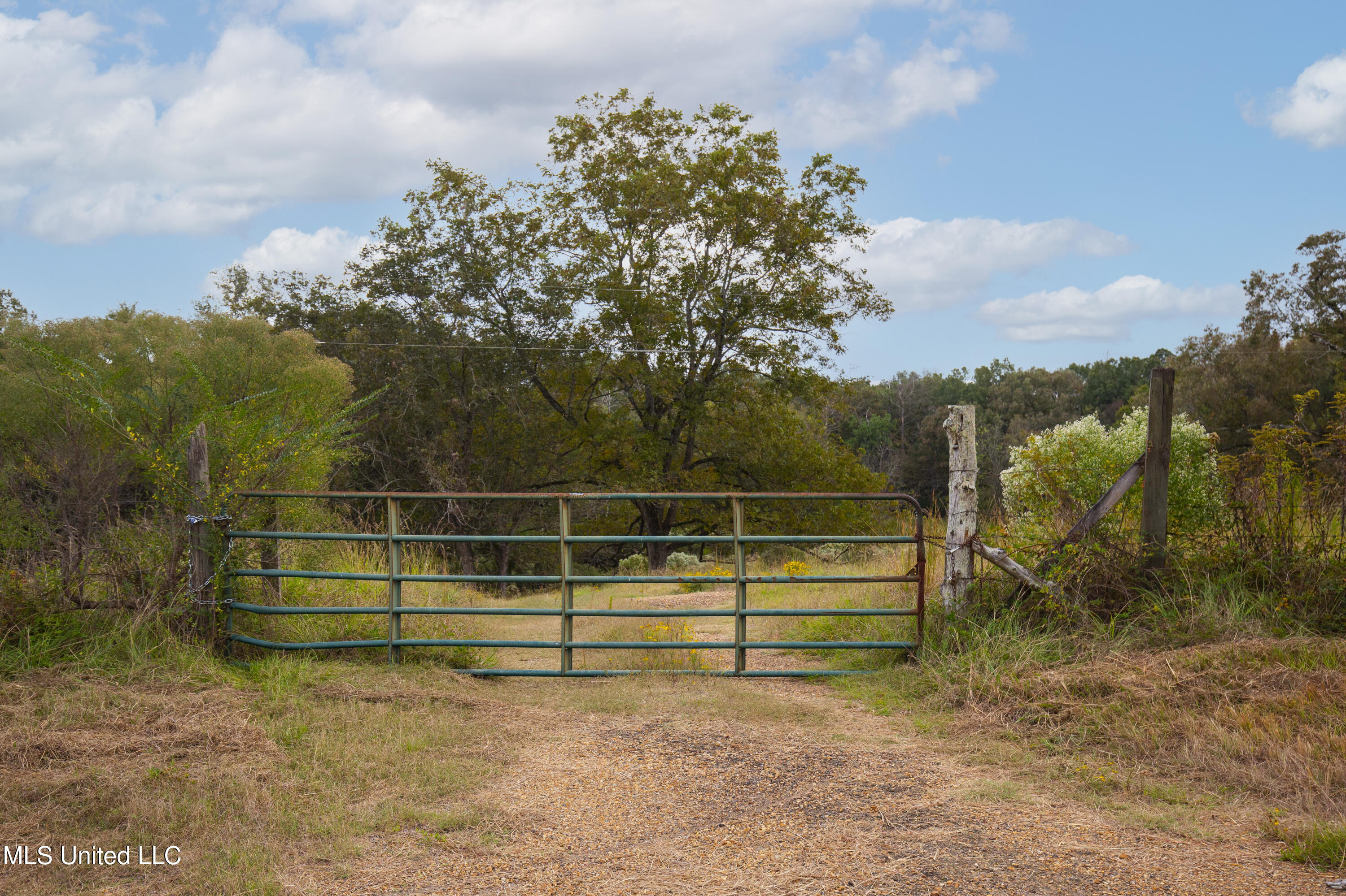 884 B Robinson Springs Road Flora, MS 39071 - Photo 16 of 22 Robinson Springs-14