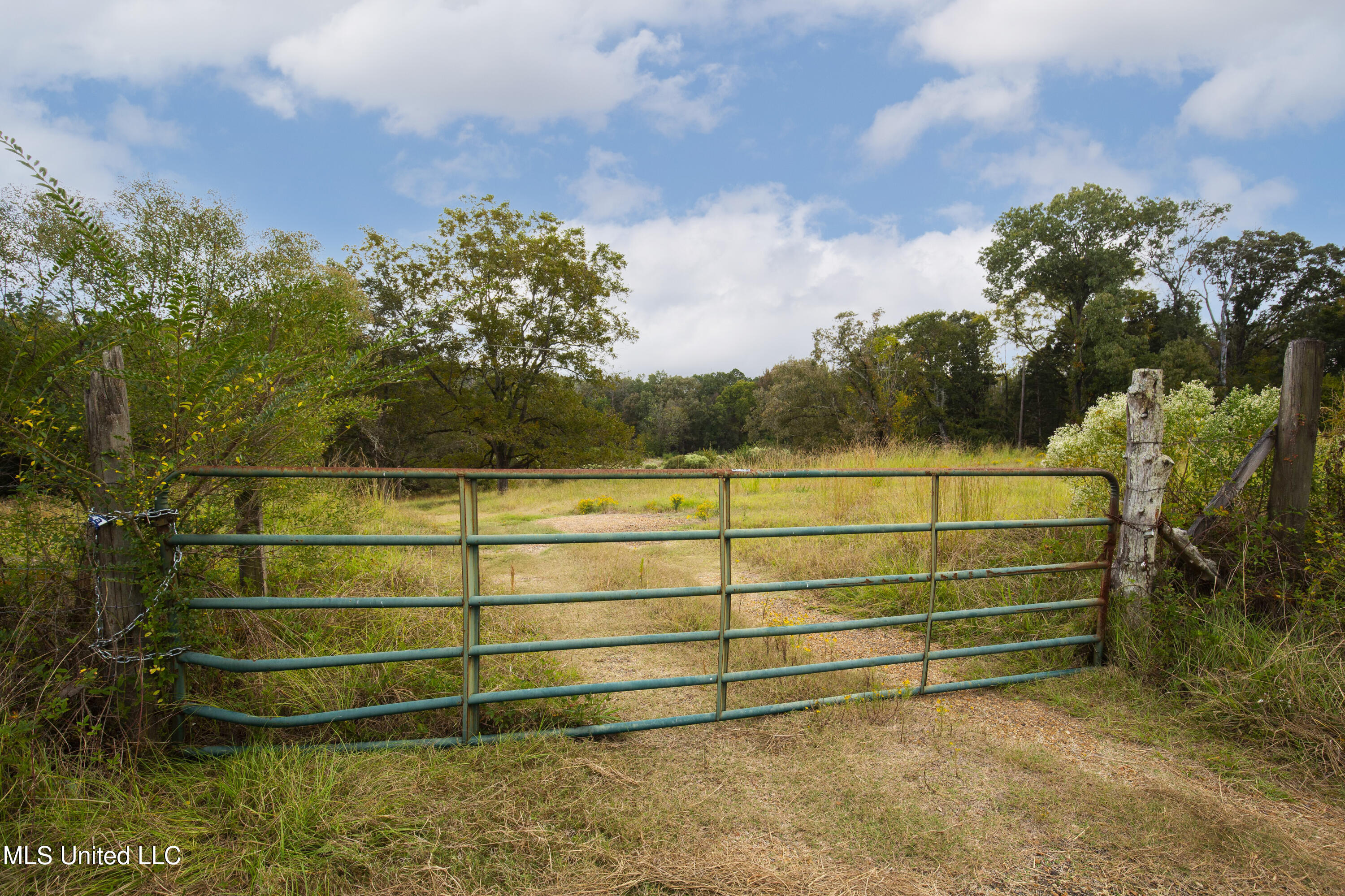 884 B Robinson Springs Road Flora, MS 39071 - Photo 17 of 22 Robinson Springs-15