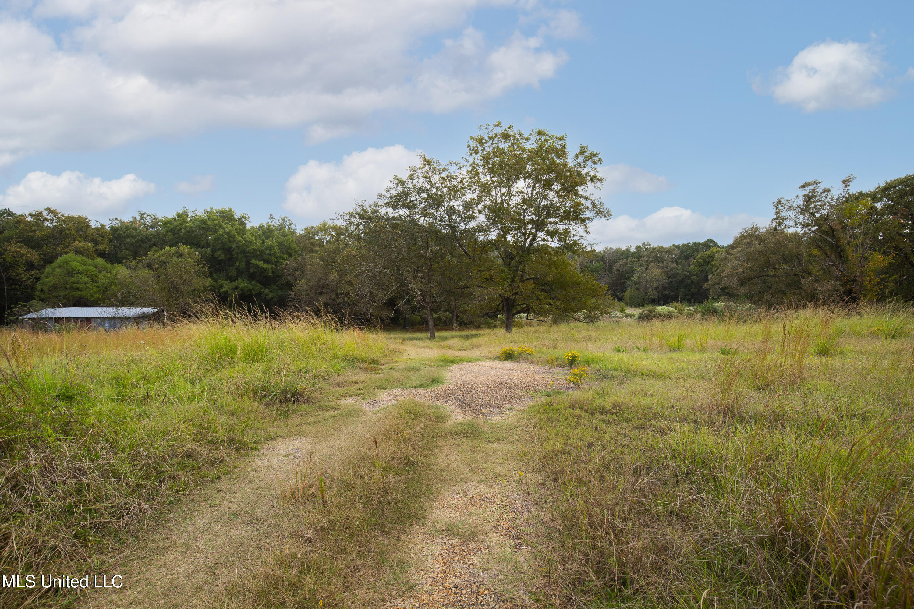 884 B Robinson Springs Road Flora, MS 39071 - Photo 18 of 22 Robinson Springs-16
