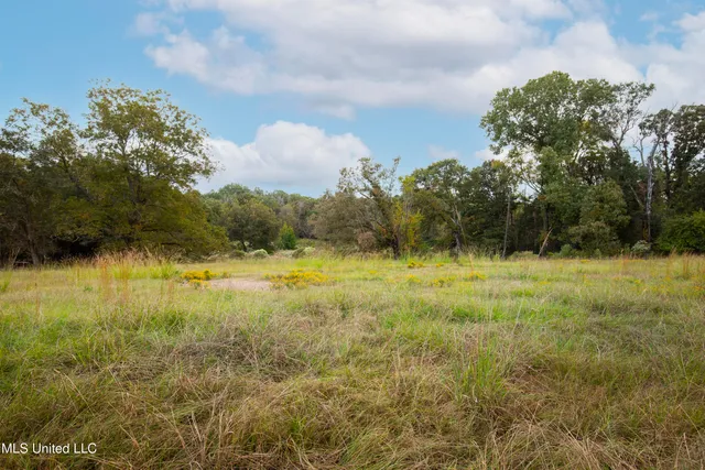 $139,000 | 884 B Robinson Springs Road, Flora, MS 39071