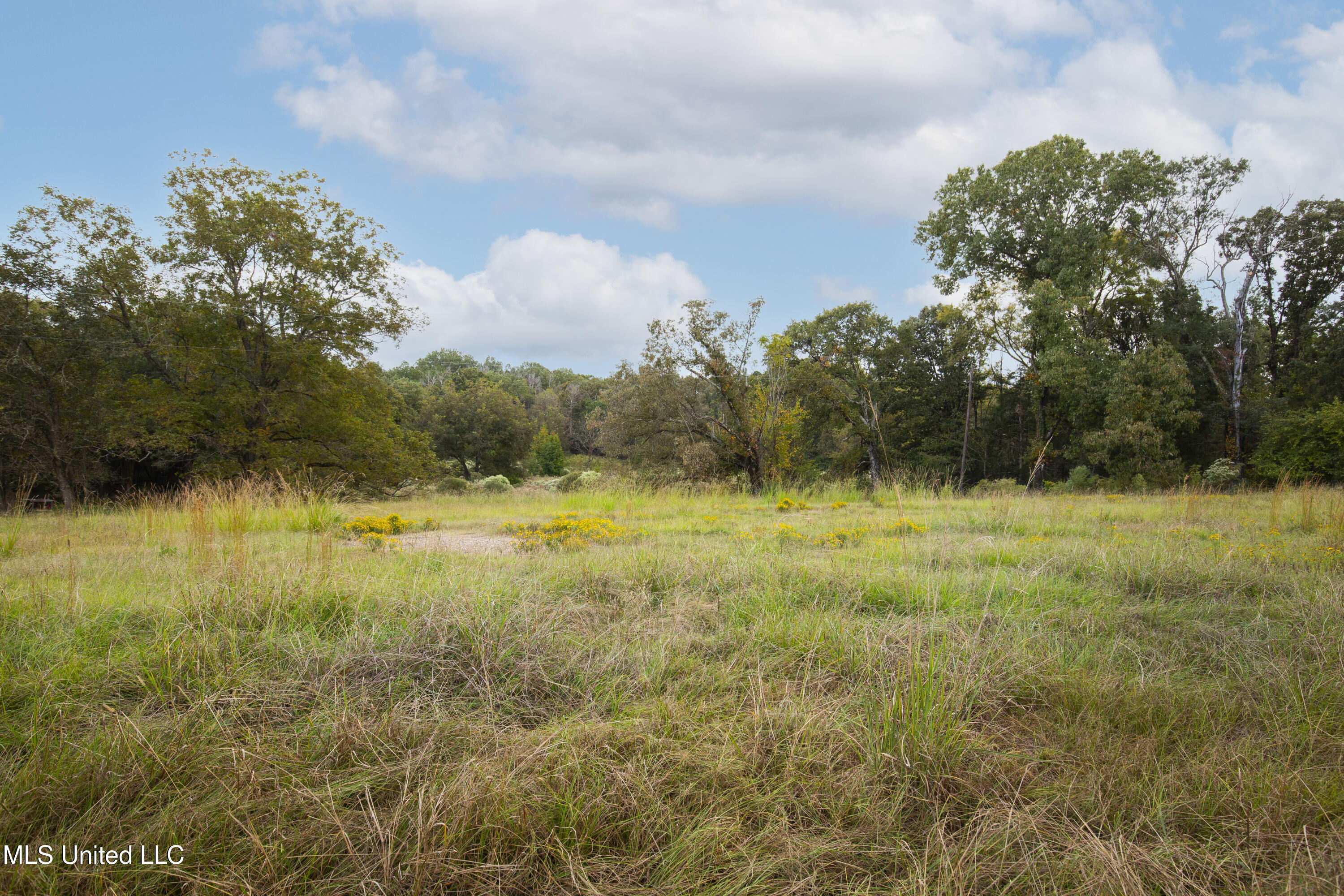 884 B Robinson Springs Road Flora, MS 39071 - Photo 19 of 22 Robinson Springs-17