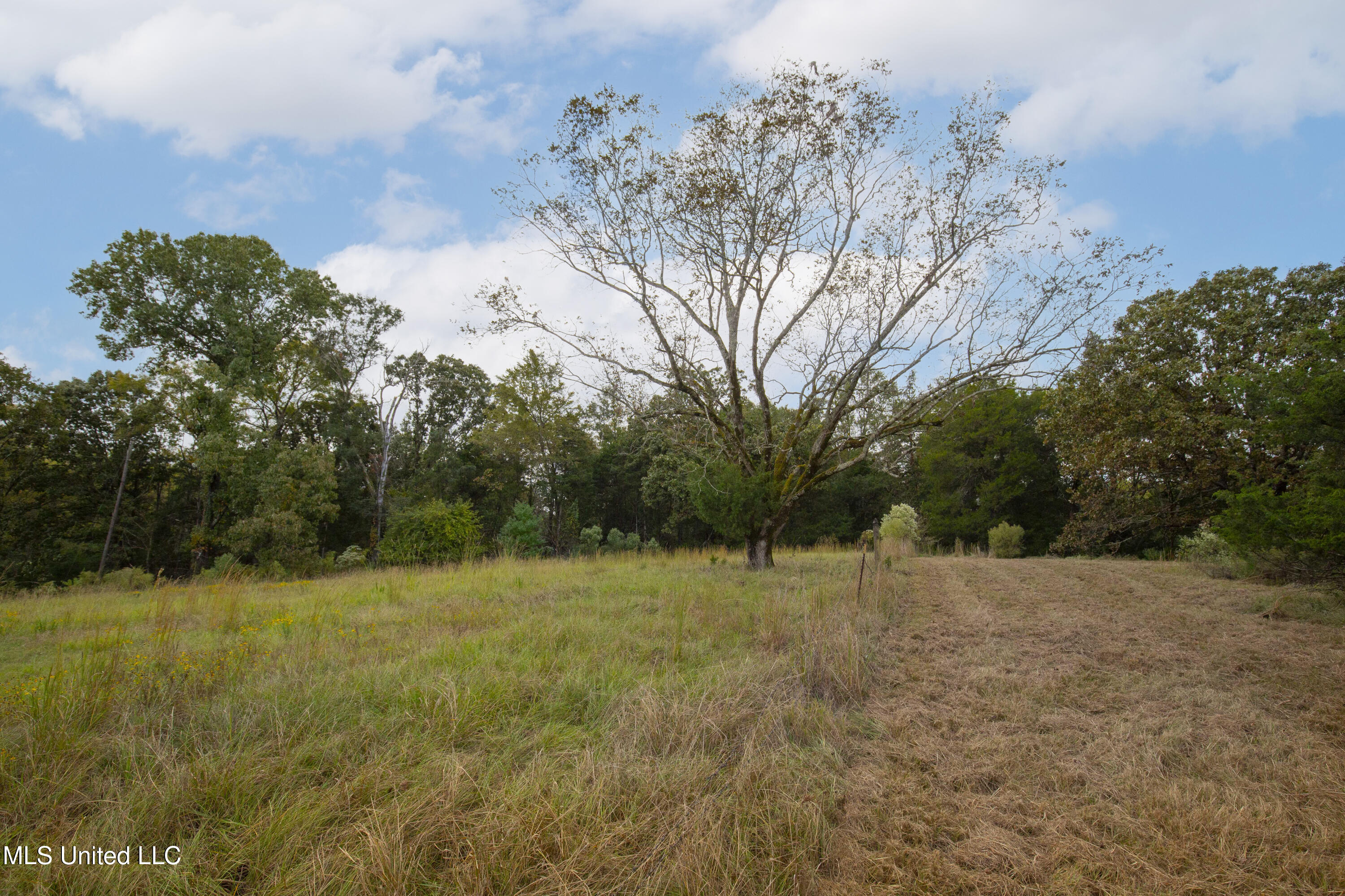 884 B Robinson Springs Road Flora, MS 39071 - Photo 20 of 22 Robinson Springs-18
