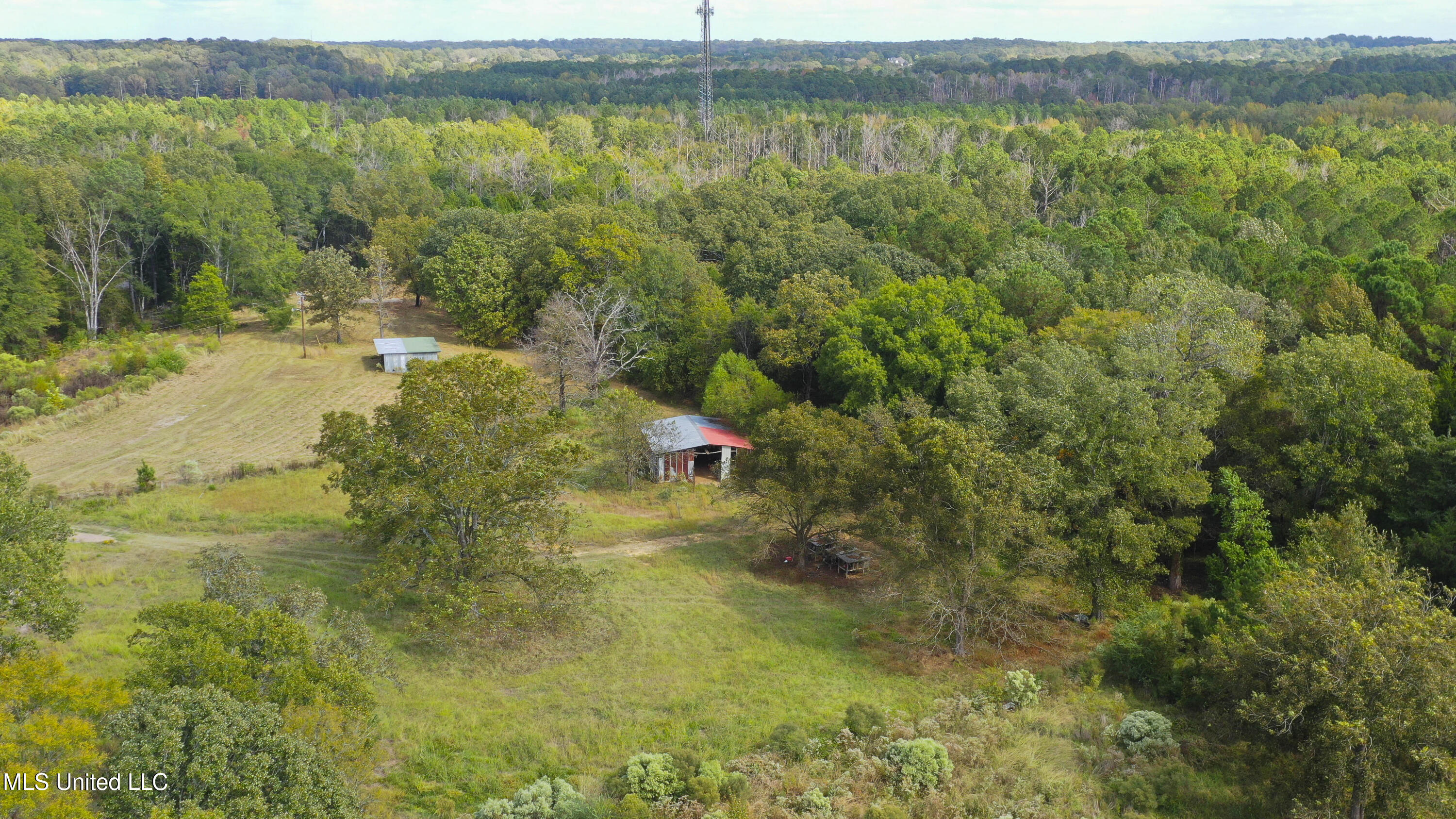 884 B Robinson Springs Road Flora, MS 39071 - Photo 9 of 22 Robinson Springs-10