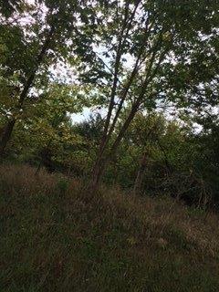 1 Tract B Boone Trail Road Richmond, KY 40475 - Photo 3 of 7 Additional Photo