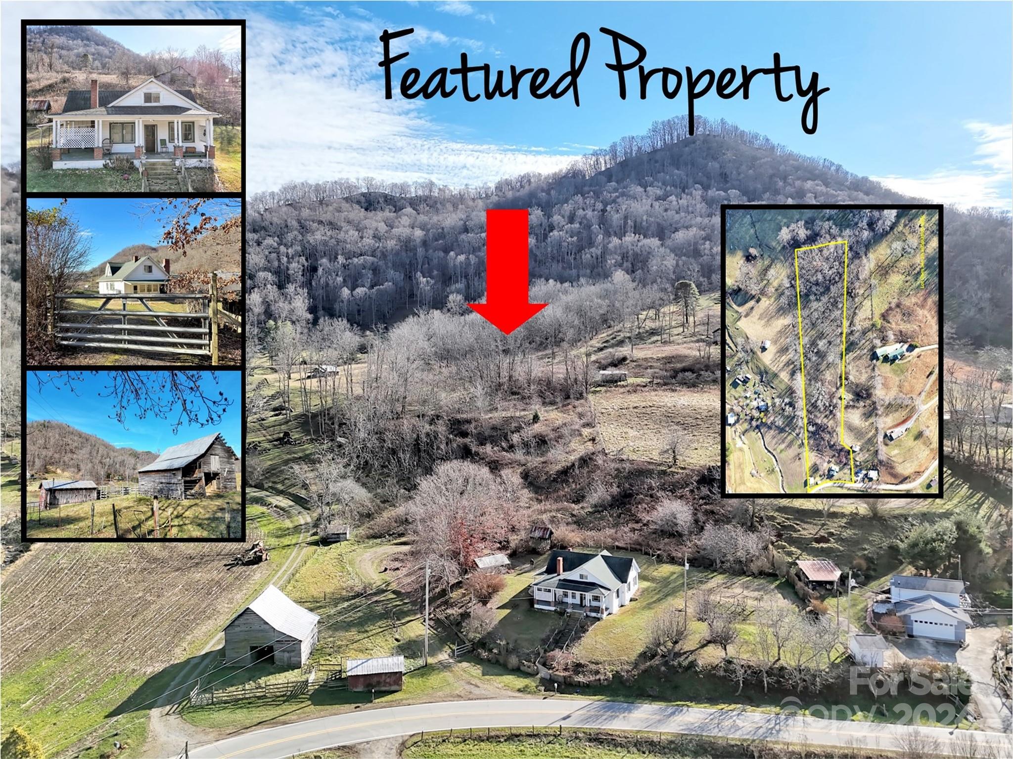 3818 Liner Creek Road Clyde, NC 28721 - Photo 3 of 39 Gallery Image 3