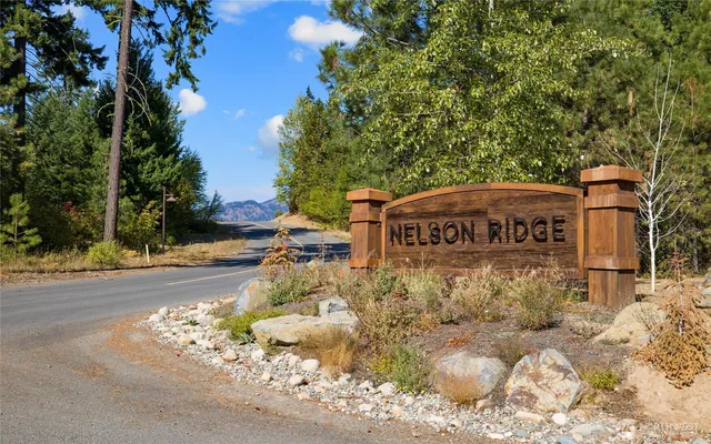 a view of a street with large trees