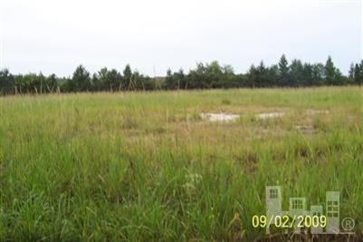 1 Coras Grove Road Watha, NC 28478 - Photo 1 of 2 Additional Photo