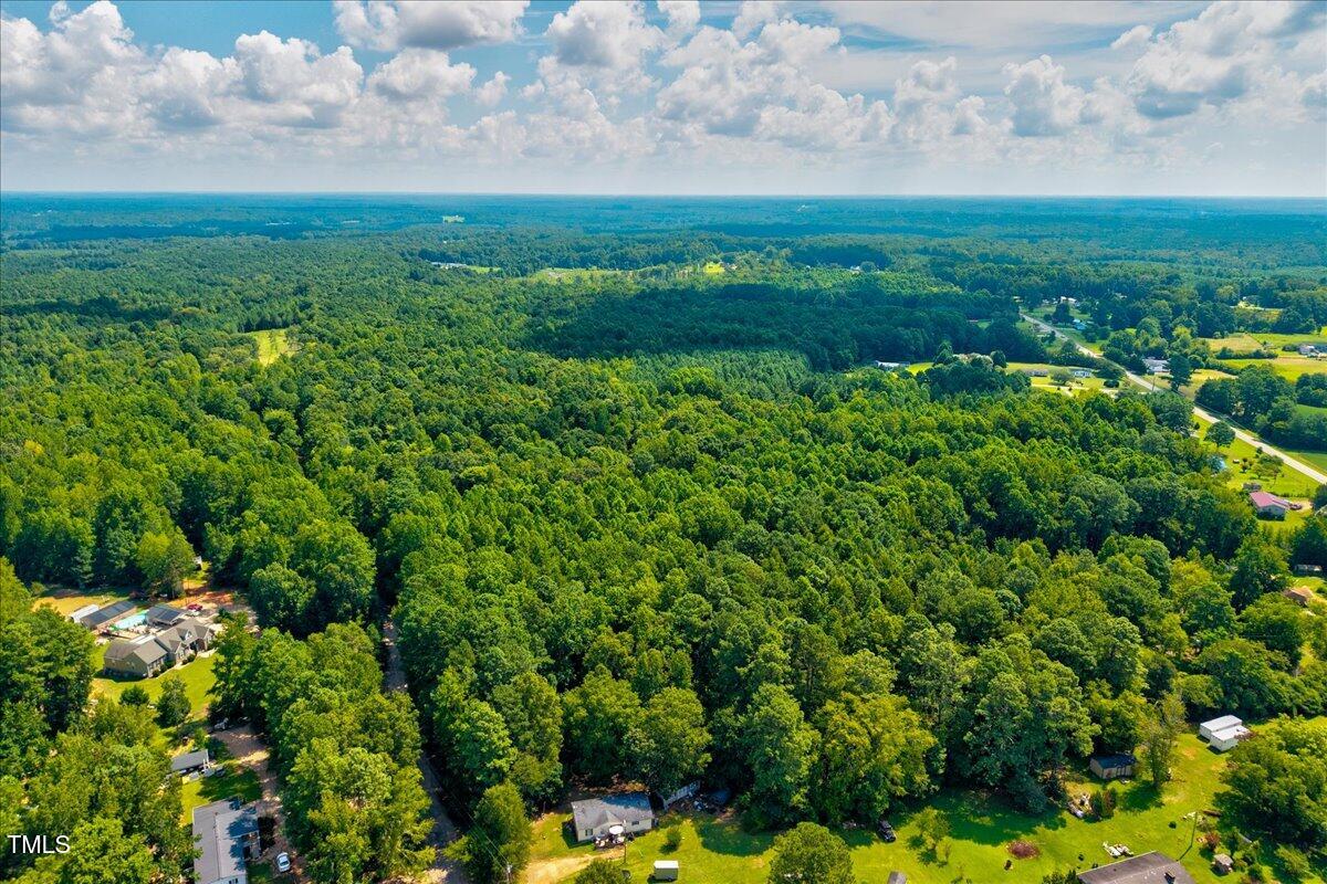 6 Old Highway Spring Hope, NC 27882 - Photo 12 of 22 a view of a lush green forest with lots of trees