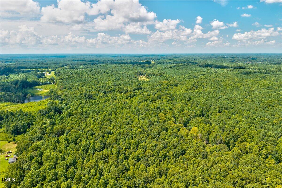6 Old Highway Spring Hope, NC 27882 - Photo 18 of 22 a view of yard with green space