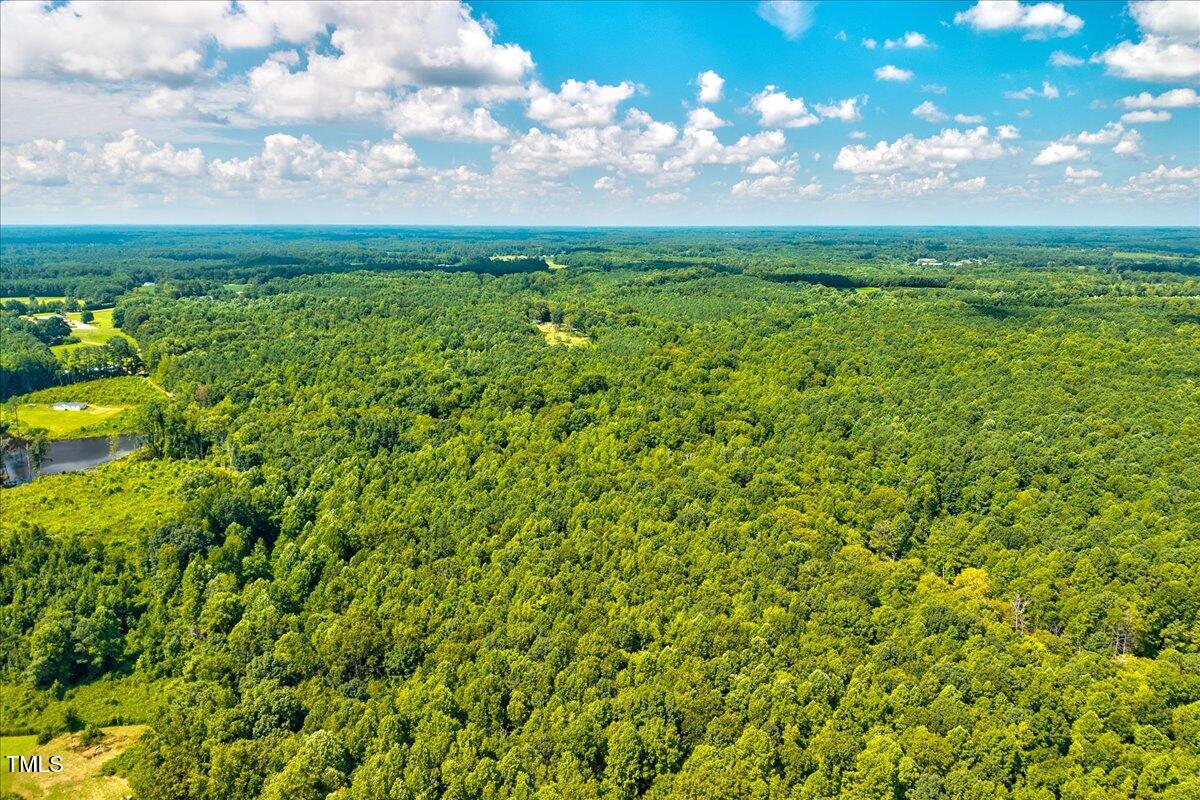 6 Old Highway Spring Hope, NC 27882 - Photo 20 of 22 a view of yard with green space