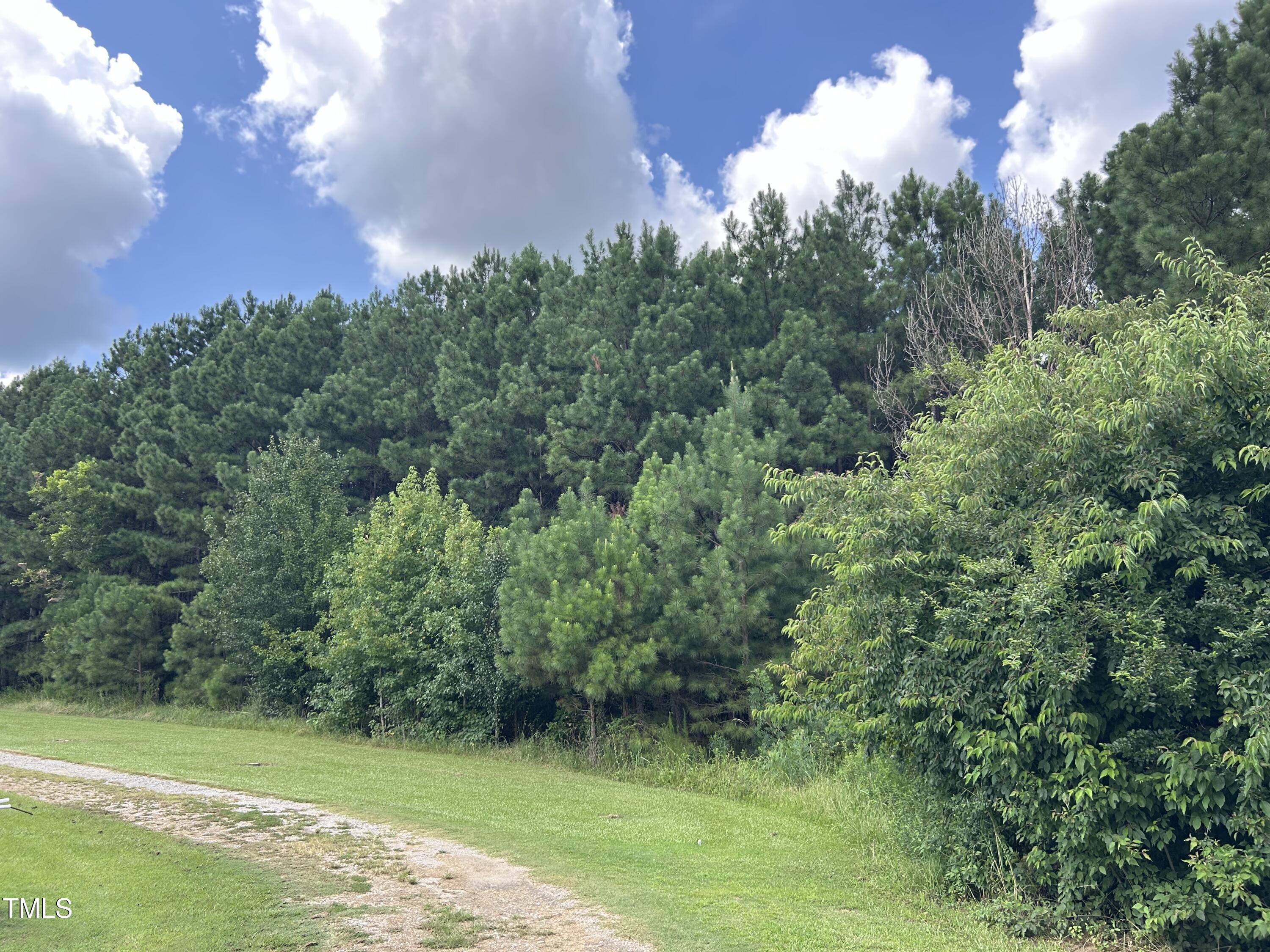 6 Old Highway Spring Hope, NC 27882 - Photo 2 of 22 a view of a grassy field with trees in the background