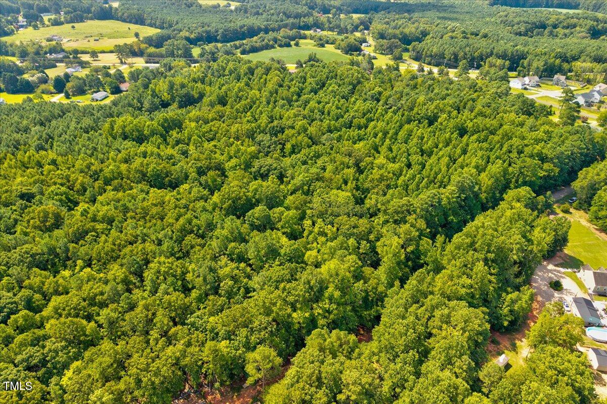 6 Old Highway Spring Hope, NC 27882 - Photo 4 of 22 a view of a large yard with plants and large trees