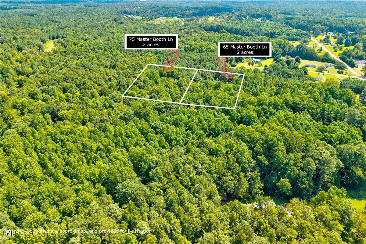 6 Old Highway Spring Hope, NC 27882 - Photo 5 of 22 a view of a bunch of plants and flowers