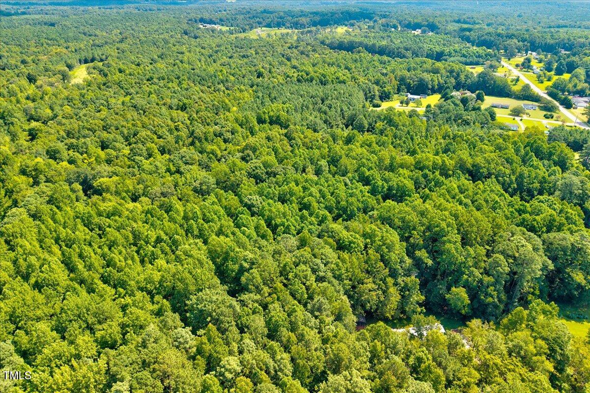 6 Old Highway Spring Hope, NC 27882 - Photo 6 of 22 a view of a lush green forest with a plant