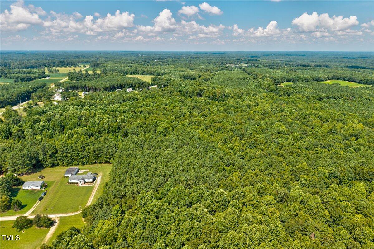 6 Old Highway Spring Hope, NC 27882 - Photo 10 of 22