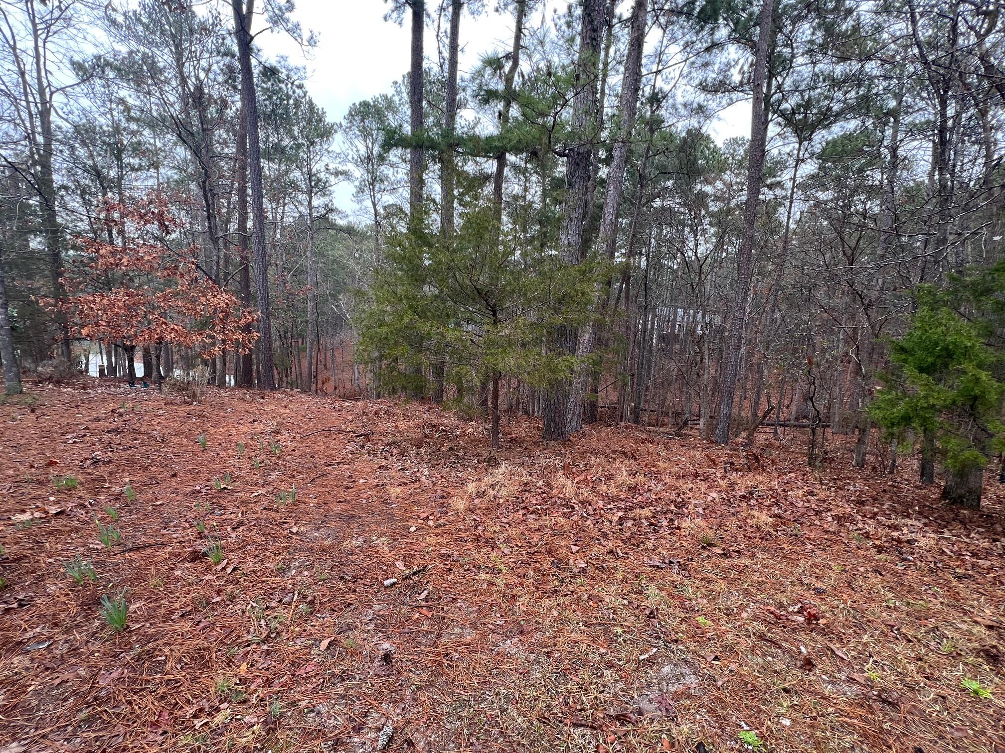 6-47 Superior Cove McCormick, SC 29835 - Photo 5 of 10 IMG_3405