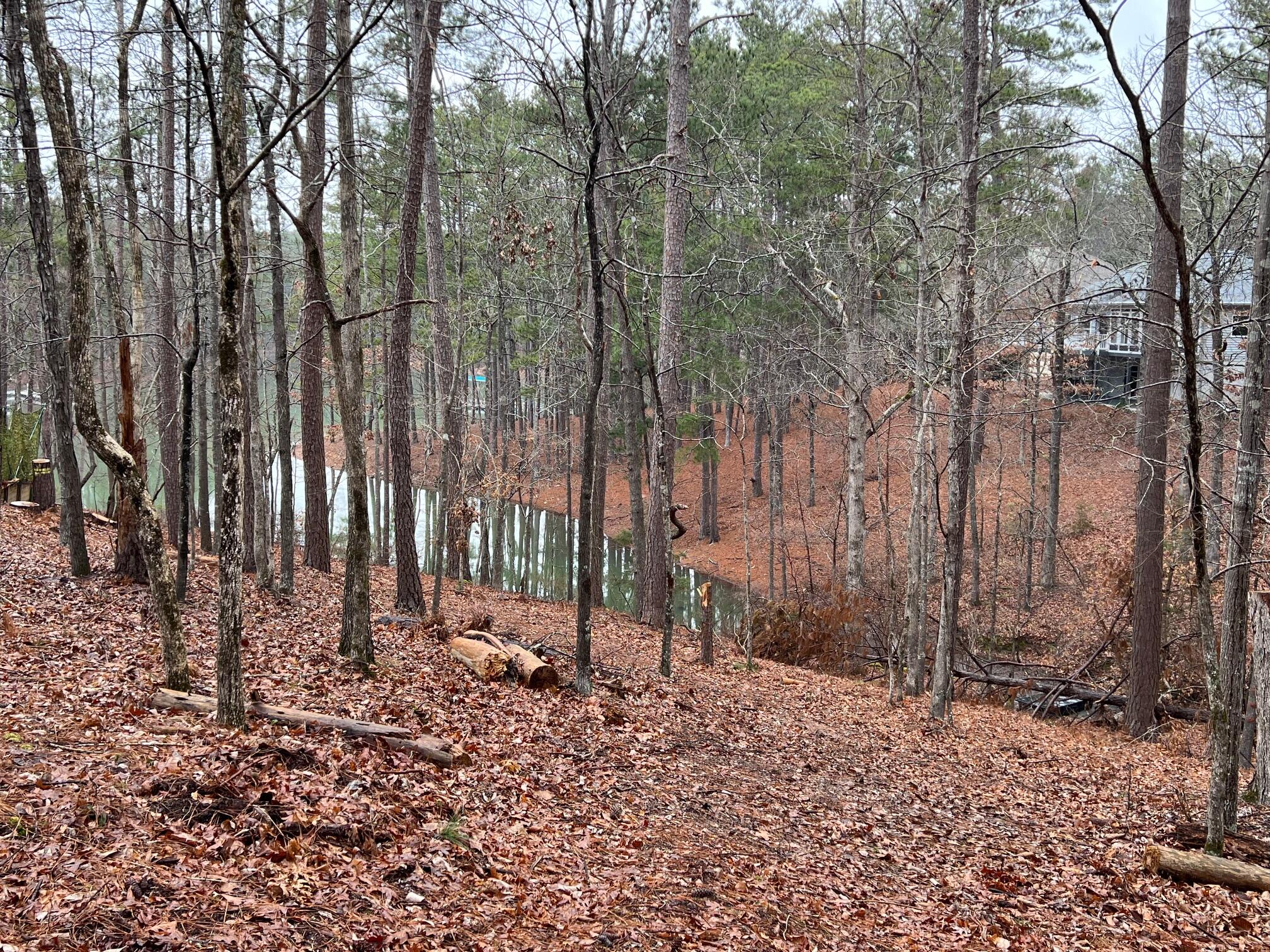 6-47 Superior Cove McCormick, SC 29835 - Photo 6 of 10 IMG_3406