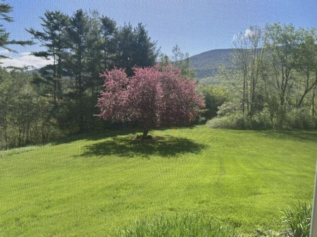 93 Hard Farm Road Manchester, VT 05255 - Photo 57 of 58