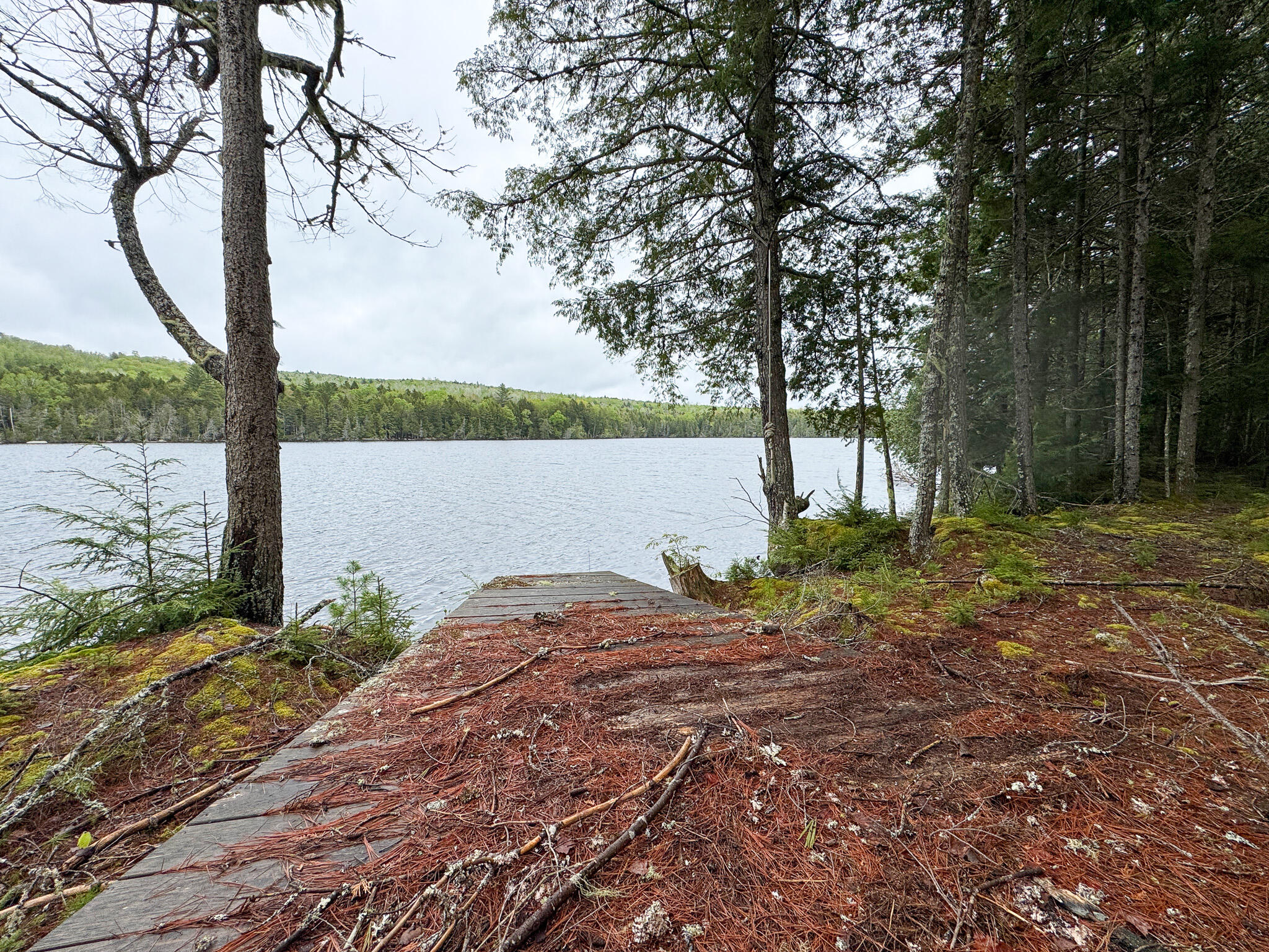 M7-l16 Upper Pug Road West Lakeville, ME 04487 - Photo 11 of 41 IMG_3704