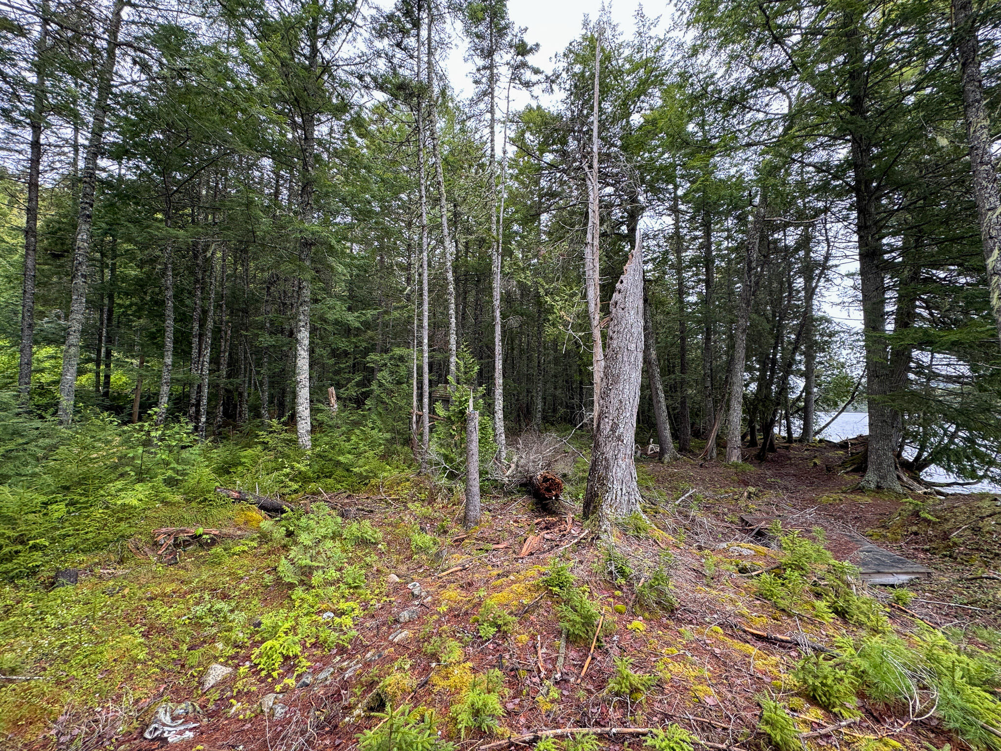 M7-l16 Upper Pug Road West Lakeville, ME 04487 - Photo 12 of 41 IMG_3705