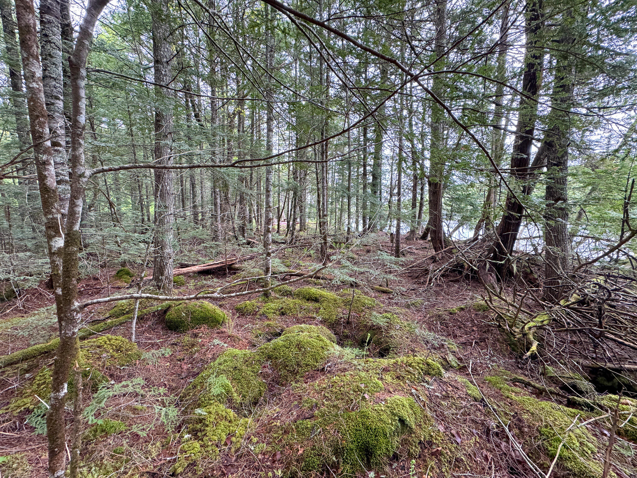 M7-l16 Upper Pug Road West Lakeville, ME 04487 - Photo 13 of 41 IMG_3706