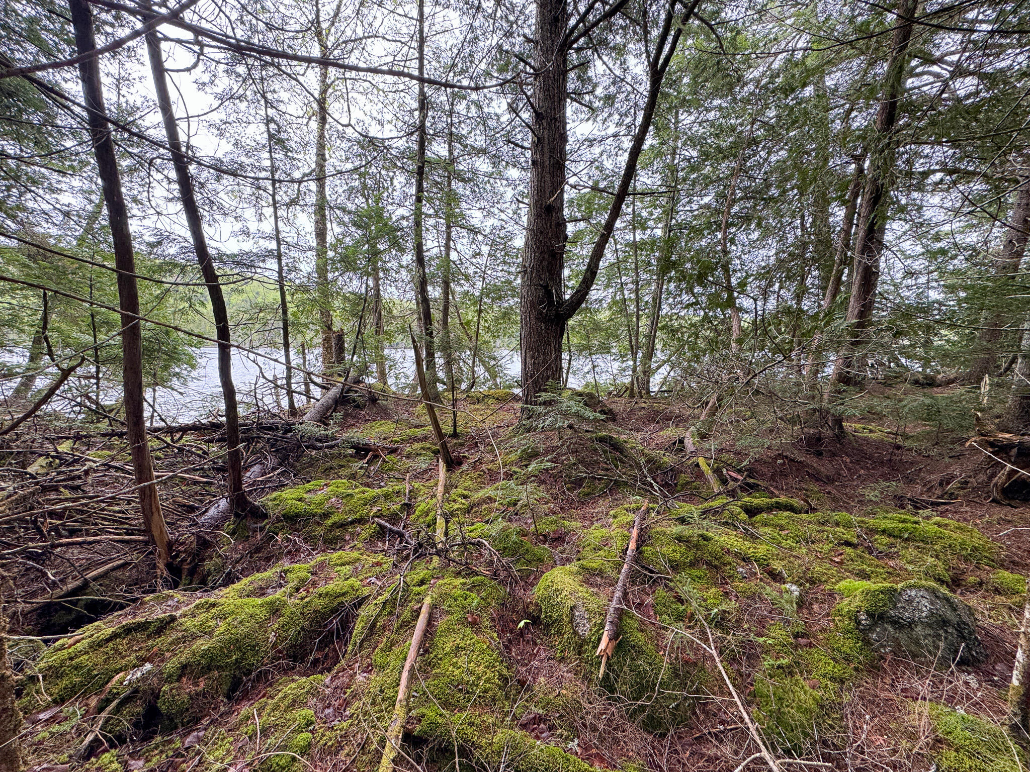 M7-l16 Upper Pug Road West Lakeville, ME 04487 - Photo 14 of 41 IMG_3707