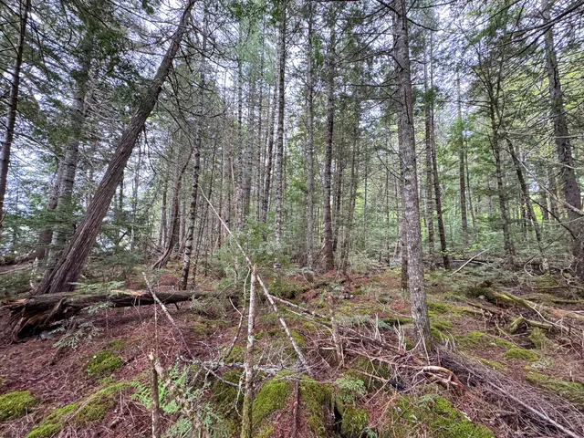 $199,000 | M7-l16 Upper Pug Road West, Lakeville, ME 04487