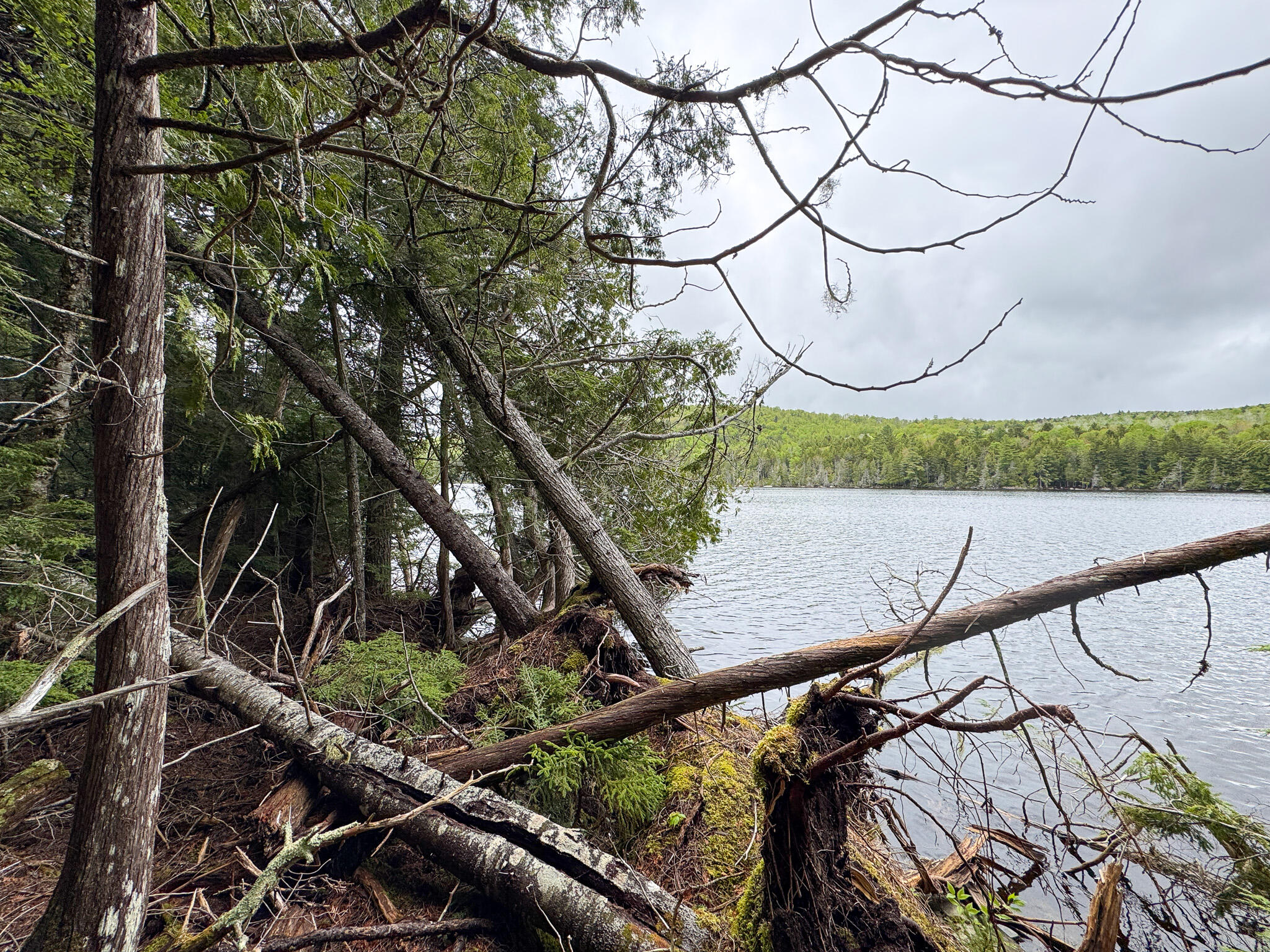 M7-l16 Upper Pug Road West Lakeville, ME 04487 - Photo 18 of 41 IMG_3711