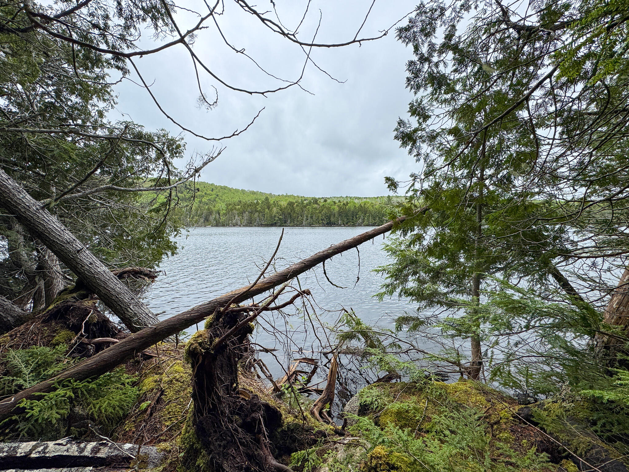 M7-l16 Upper Pug Road West Lakeville, ME 04487 - Photo 19 of 41 IMG_3712